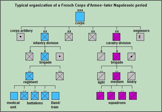 While corps and divisional strengths varied widely, a typical infantry battalion contained 400-600 men, cavalry squadrons 100-300. (adapted from Chandler, The Campaigns of Napoleon)